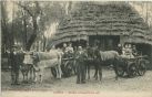 Carte postale ancienne - Landes - LANDES - Anciens attelages (Lous cas)