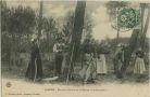 Carte postale ancienne - Landes - LANDES - Dernière Récolte de la Résine « Le Barrascot »