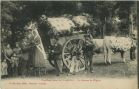 Carte postale ancienne - Landes - Une Noce dans les LANDES - Le Retour de l'Eglise 