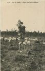 Carte postale ancienne - Landes - Dans les Landes - Berger filant sur ses échasses