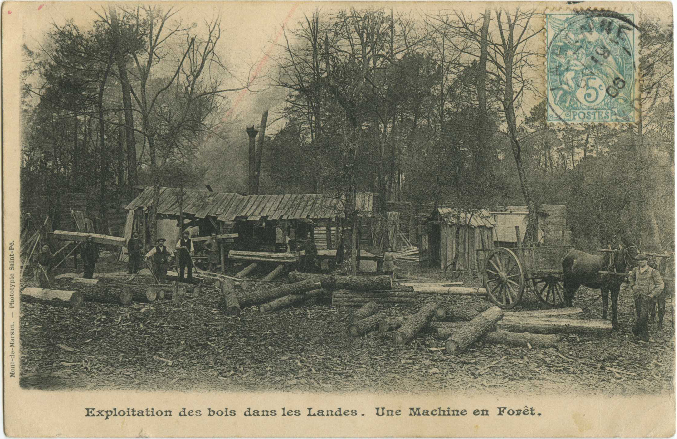 Landes - Exploitation des bois dans les Landes. Une Machine en Forêt.