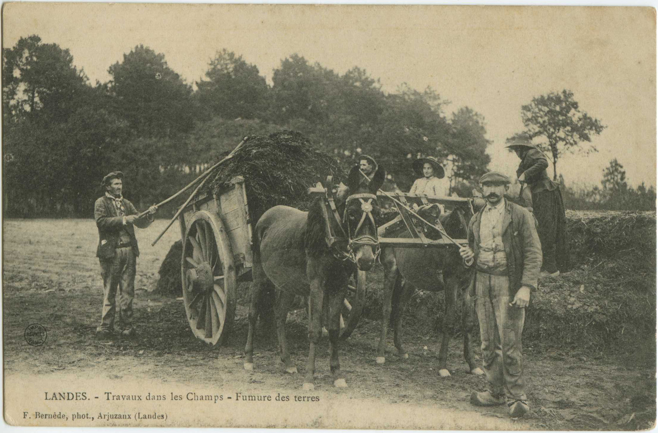 Landes - LANDES - Travaux dans les Champs - Fumure des terres