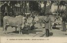 Carte postale ancienne - Landes - SCÈNES ET TYPES LANDAIS - Marché aux Bestiaux.