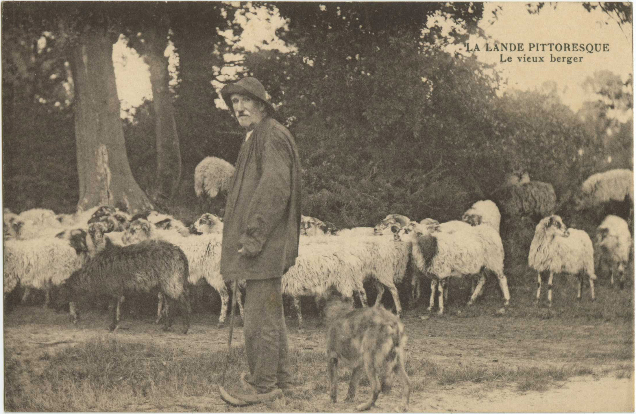 Landes - LA LANDE PITTORESQUE - Le vieux berger