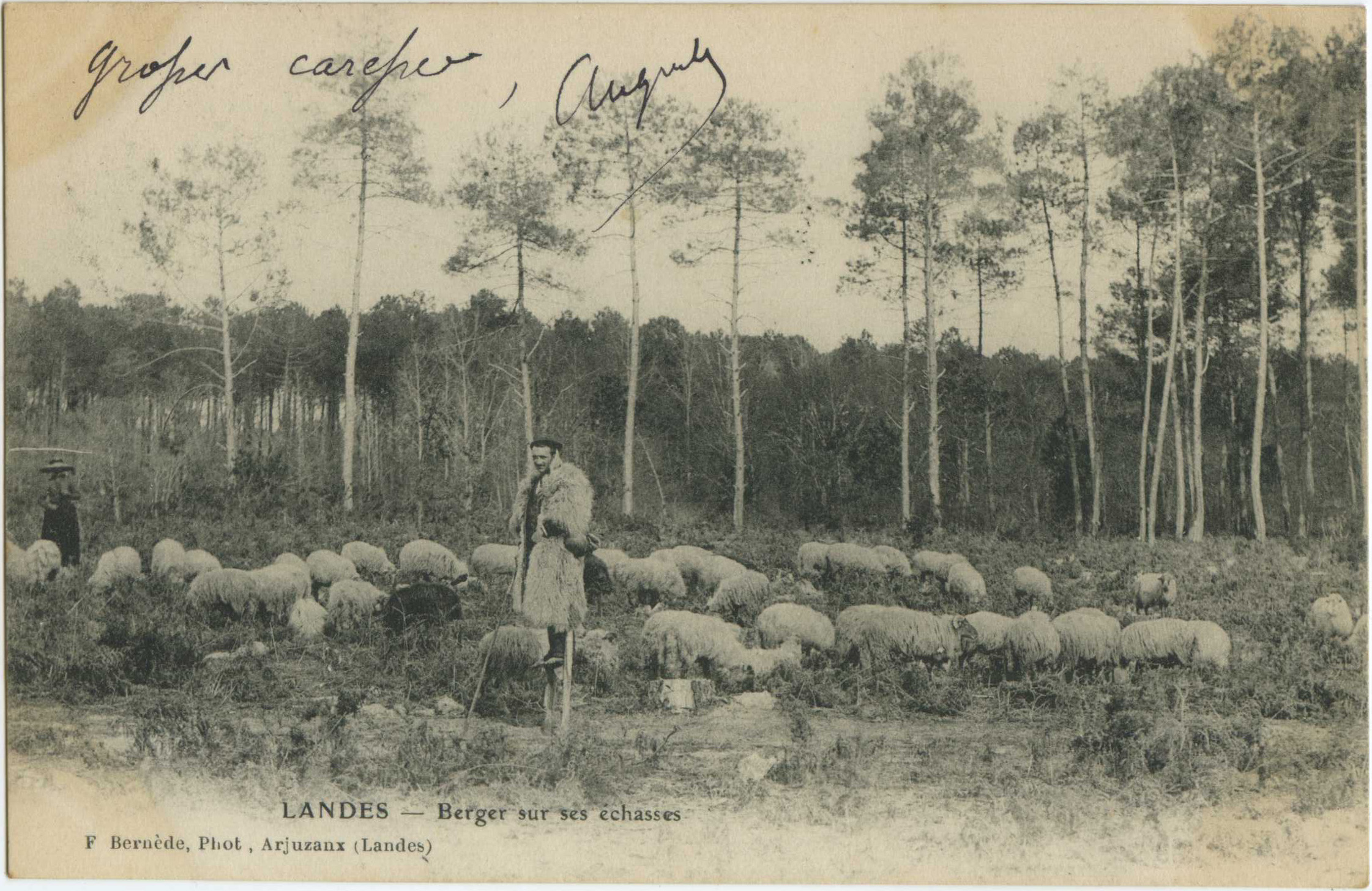 Landes - LANDES - Berger sur ses échasses