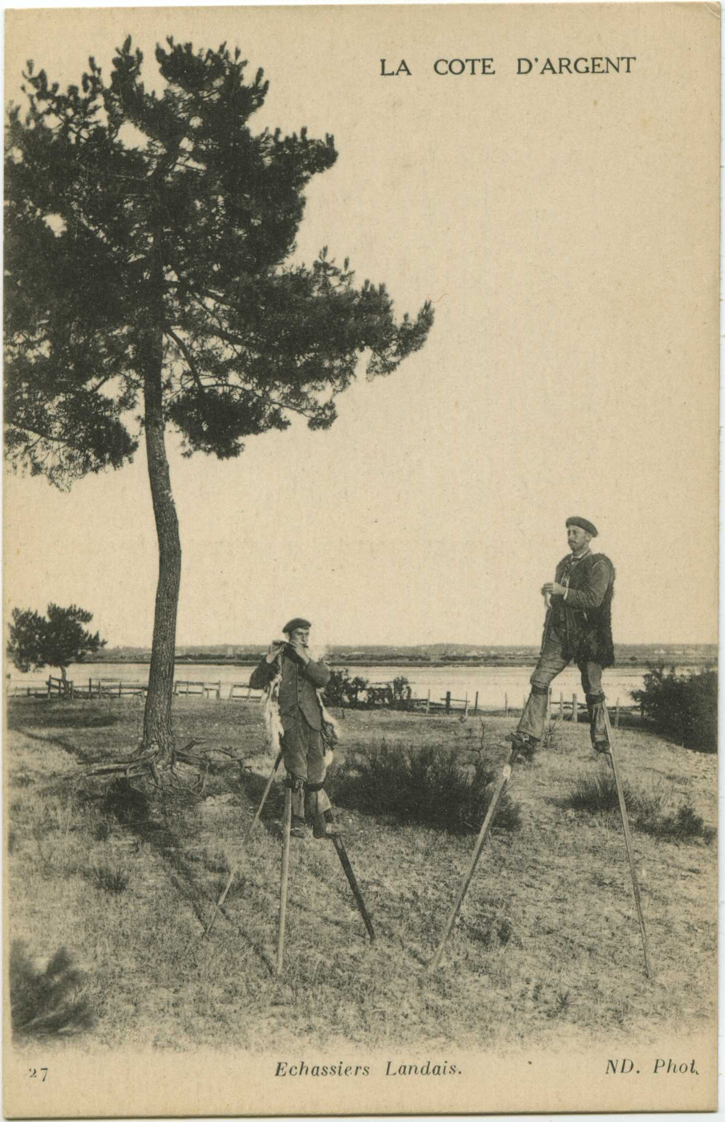 Landes - LA COTE D'ARGENT - Echassiers Landais.