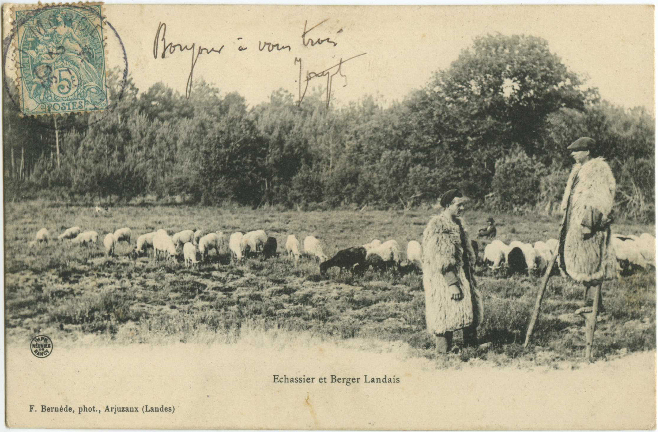 Landes - Echassier et Berger Landais