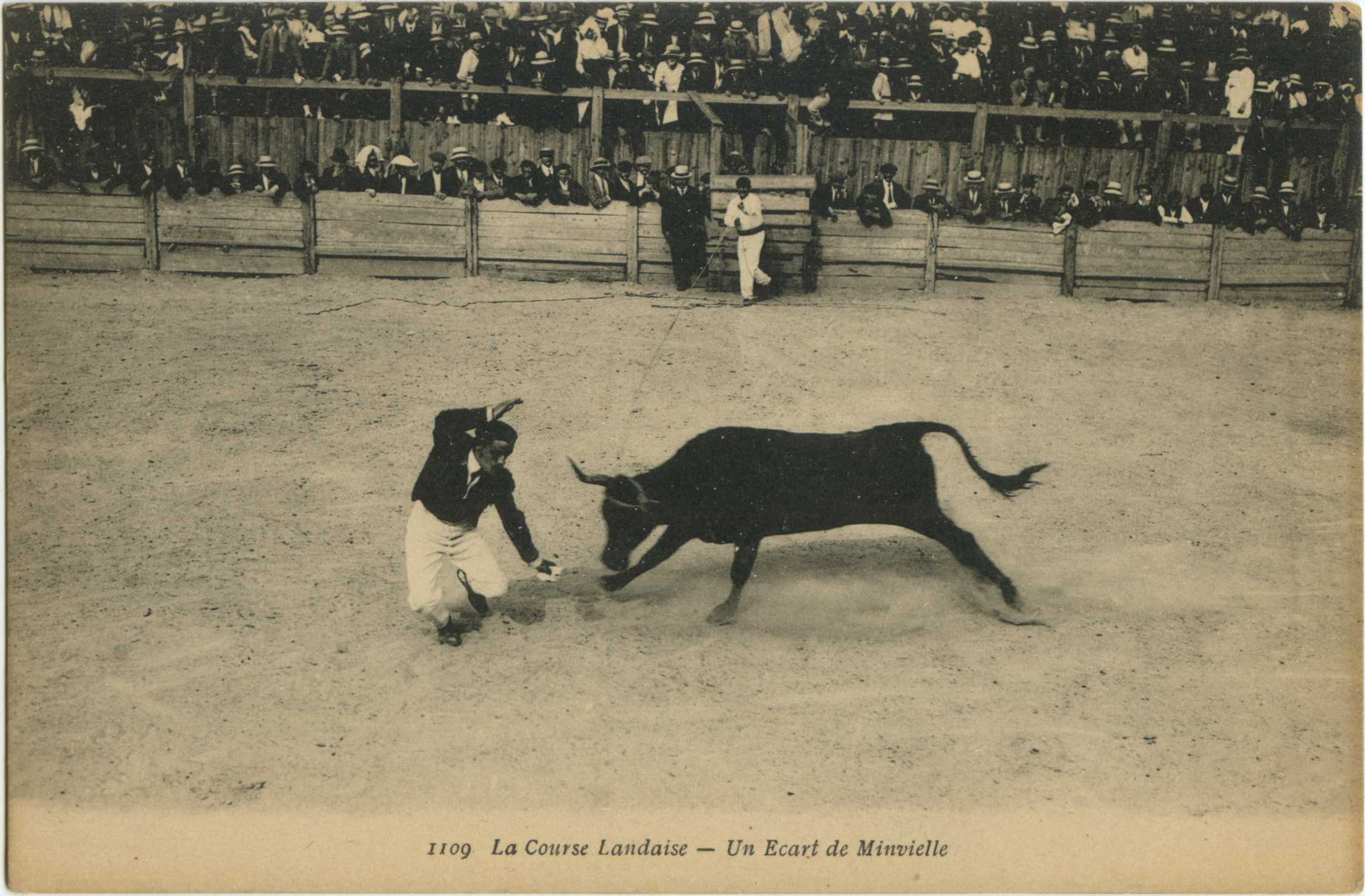 Landes - La Course Landaise - Un Ecart de Minvielle