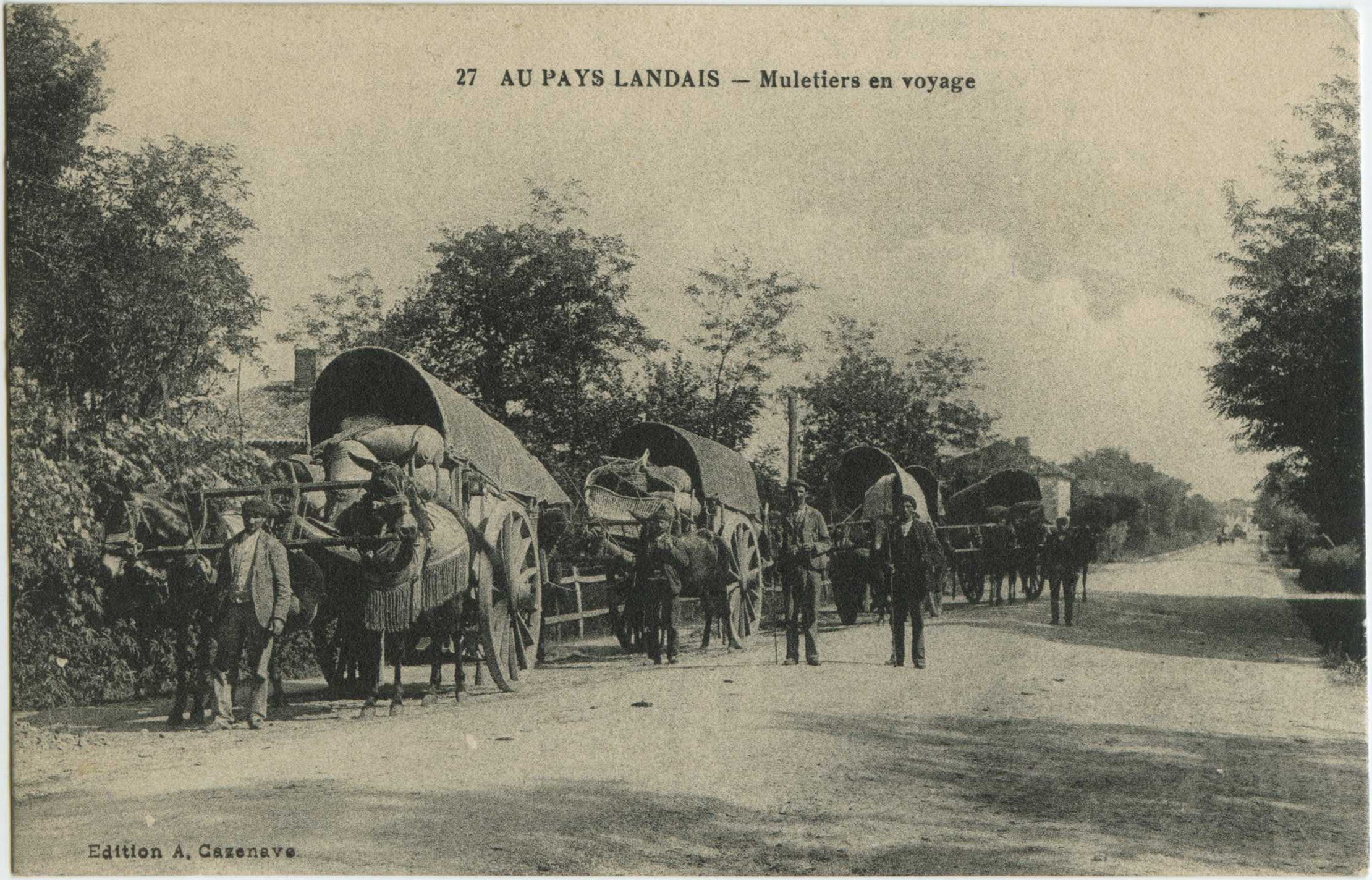 Landes - AU PAYS LANDAIS - Muletiers en voyage