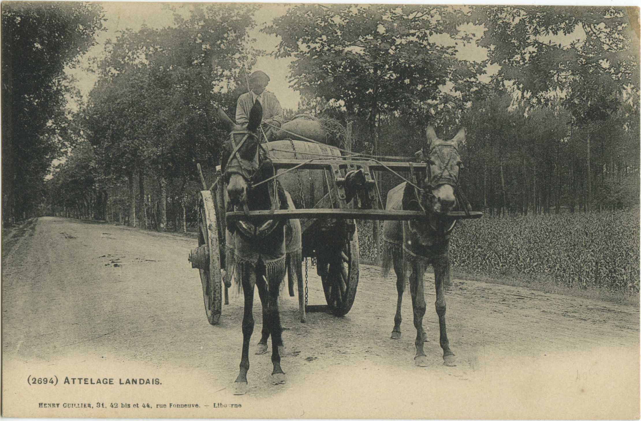 Landes - Attelage landais.