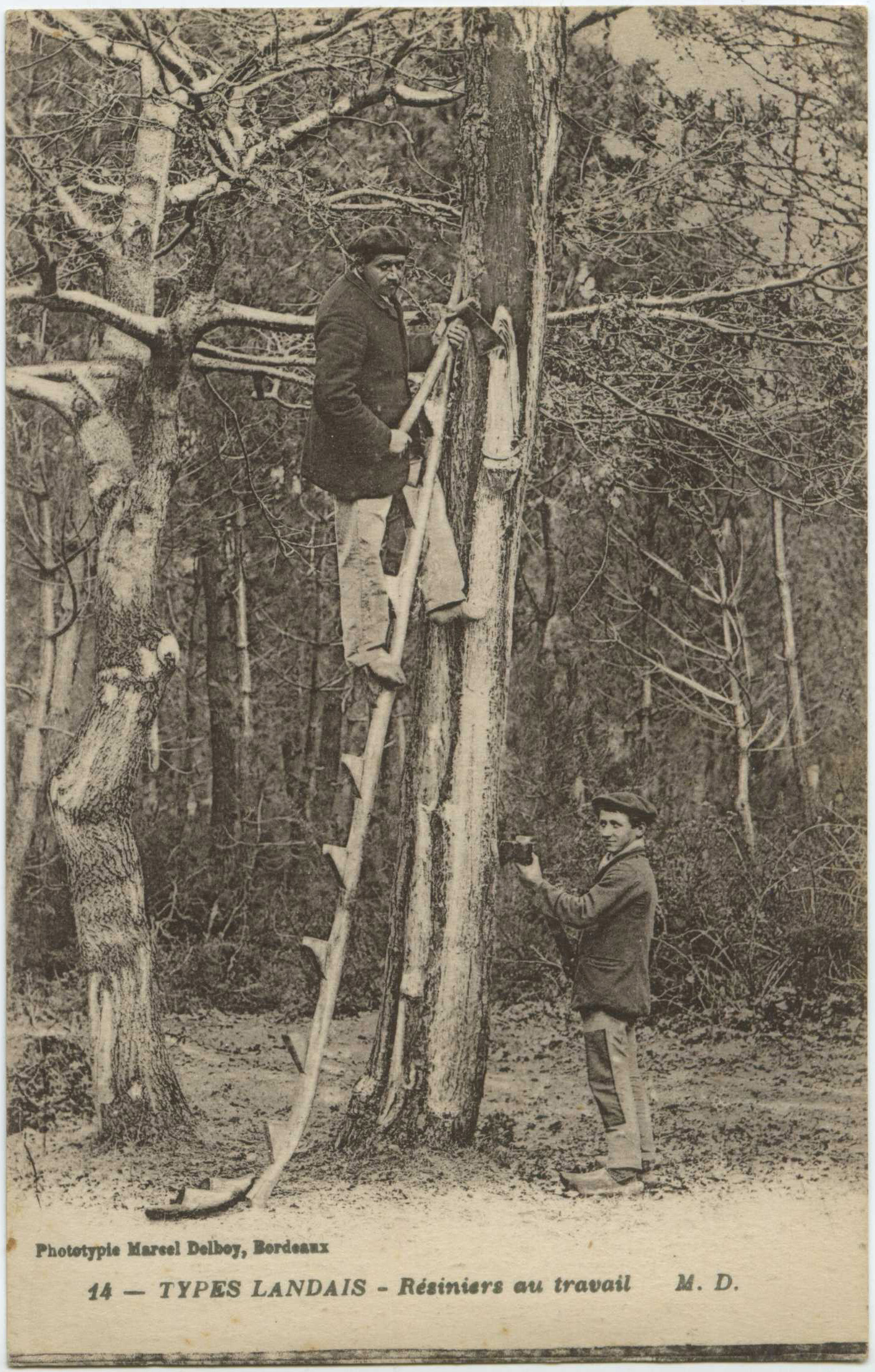 Landes - TYPES LANDAIS - Résiniers au travail