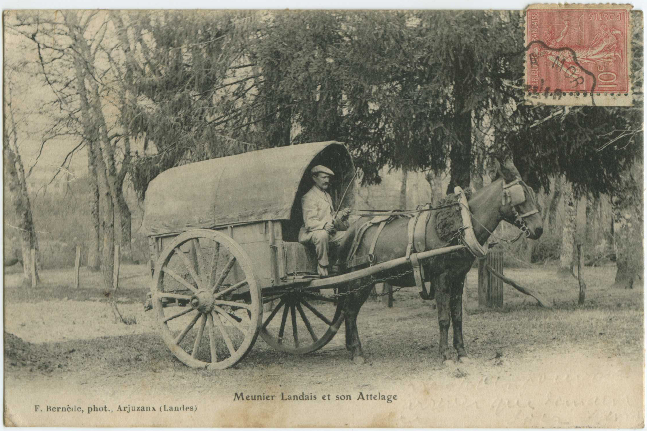 Landes - Meunier Landais et son Attelage