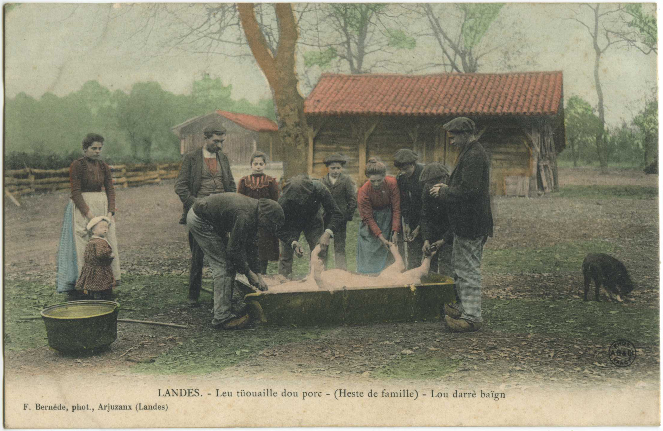 Landes - LANDES - Leu tüouaille dou porc - (Heste de famille) - Lou darré baïgn