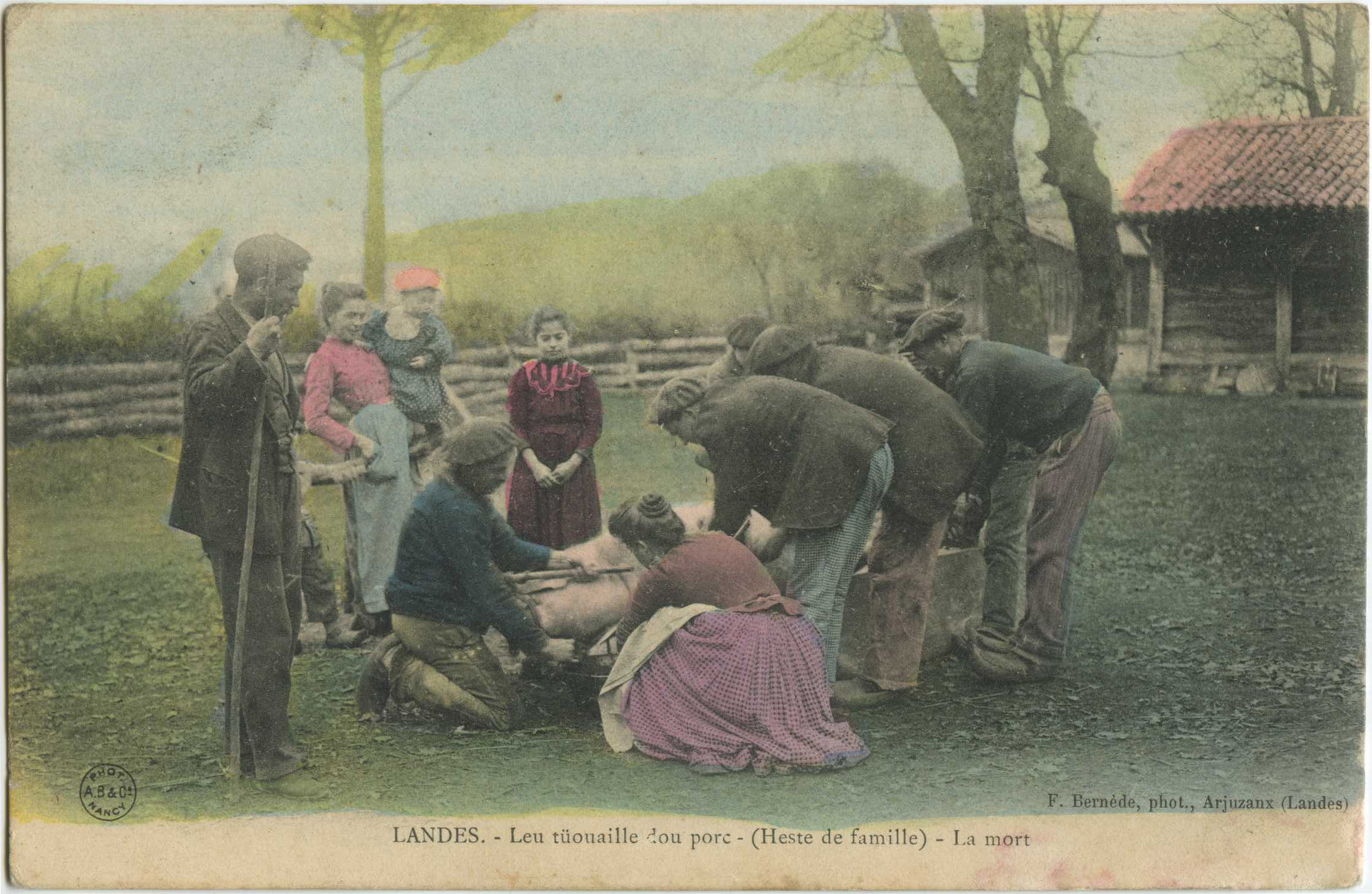 Landes - LANDES - Leu tüouaille dou porc - (Heste de famille) - La mort