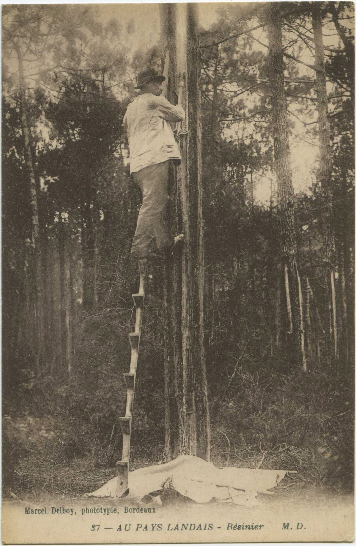 Landes - AU PAYS LANDAIS - Résinier