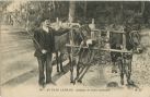 Carte postale ancienne - Landes - AU PAYS LANDAIS - Attelage de mules landaises