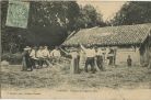 Carte postale ancienne - Landes - LANDES - Battage du Seigle au fléau