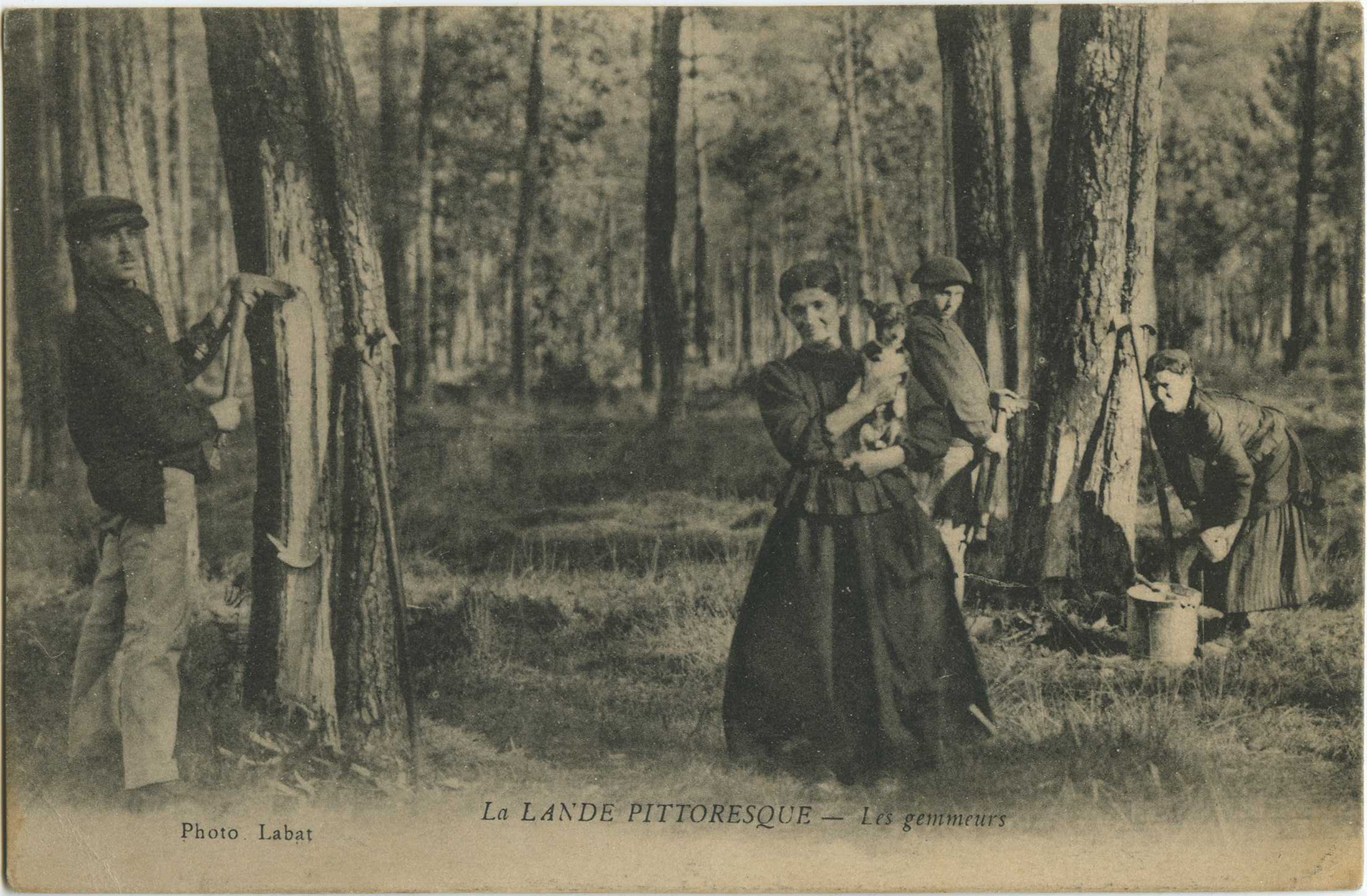 Landes - La LANDE PITTORESQUE - Les gemmeurs
