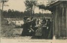 Carte postale ancienne - Landes - Dans les Landes - Bergers prenant leur repas en Forêt