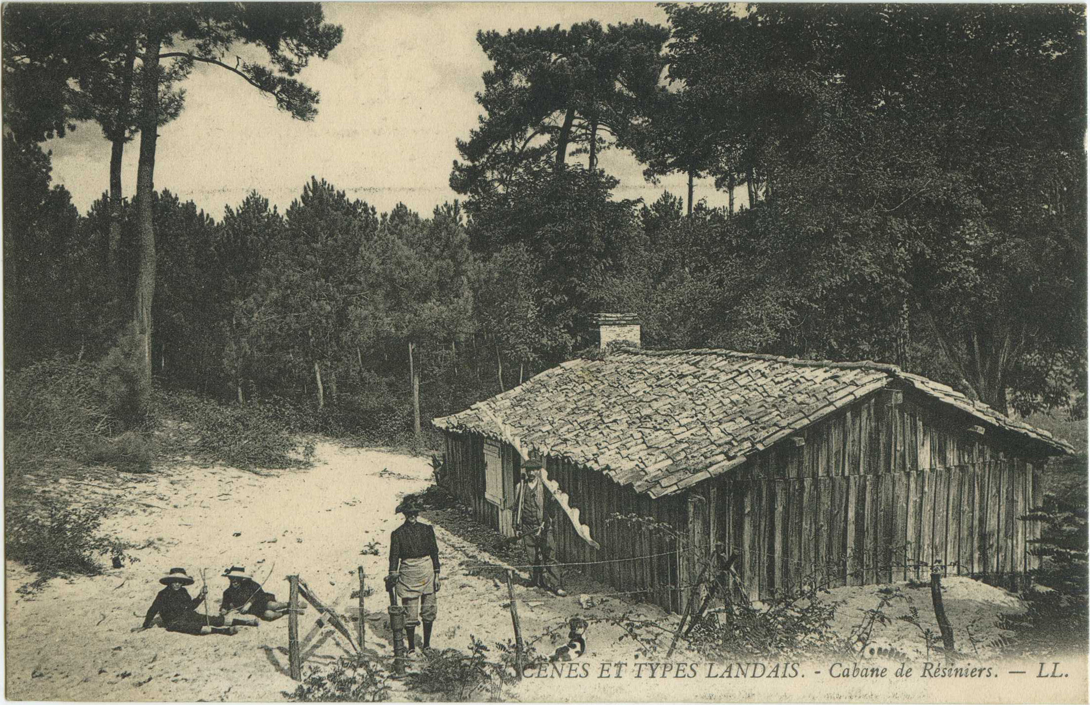 Landes - SCÈNES ET TYPES LANDAIS - Cabane de Résiniers