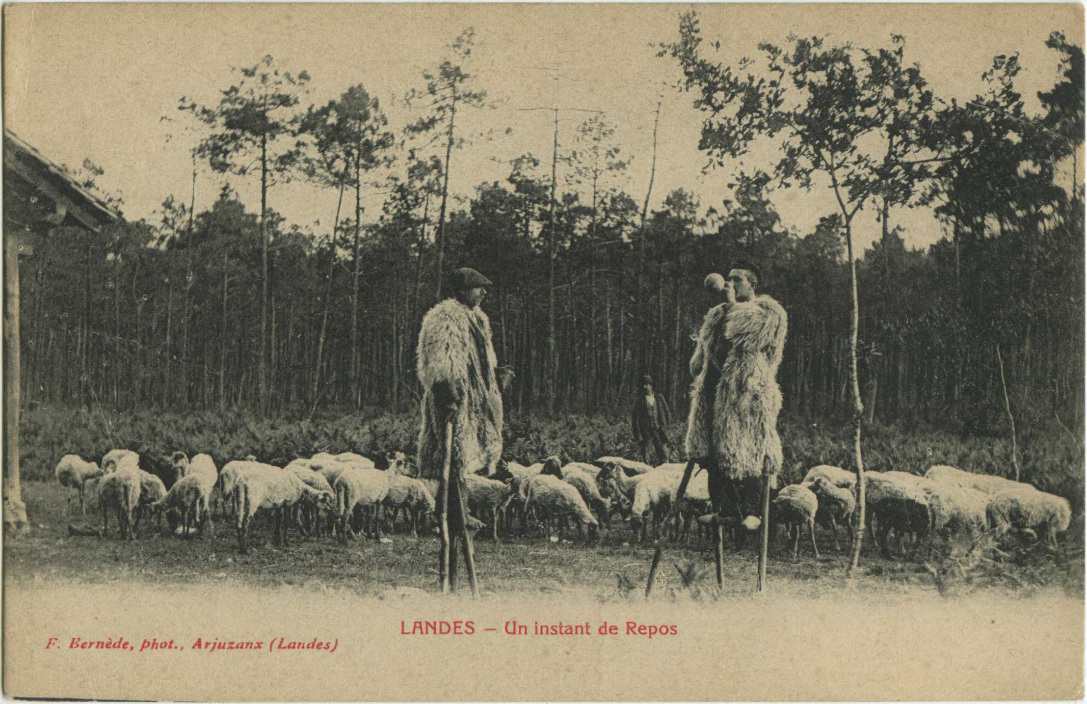 Landes - LANDES - Un instant de Repos