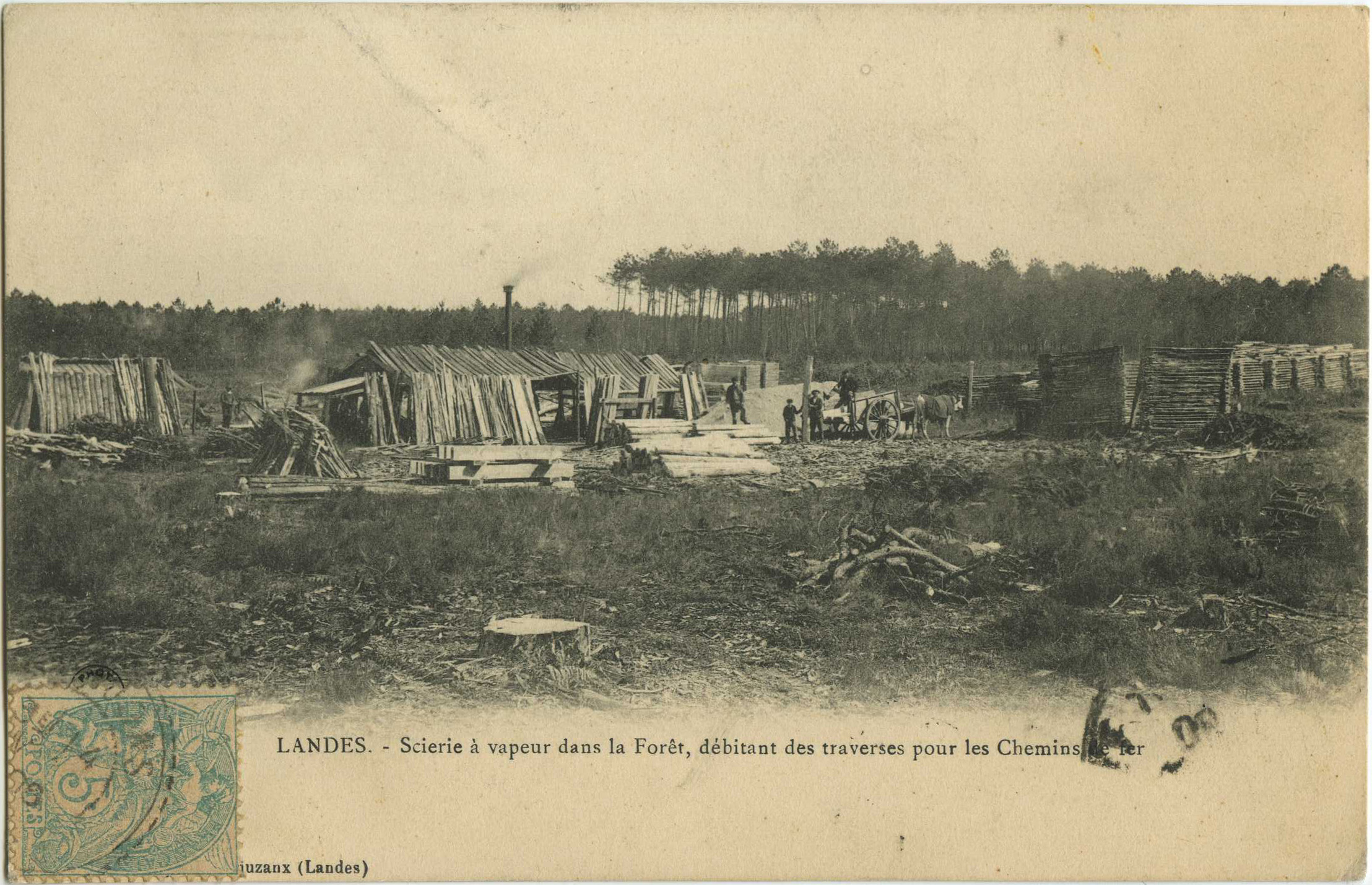 Landes - LANDES - Scierie à vapeur dans la Forêt, débitant des traverses pour les Chemins de fer