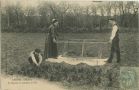 Carte postale ancienne - Landes - LANDES - Récolte du Pignon ou semence du Pin