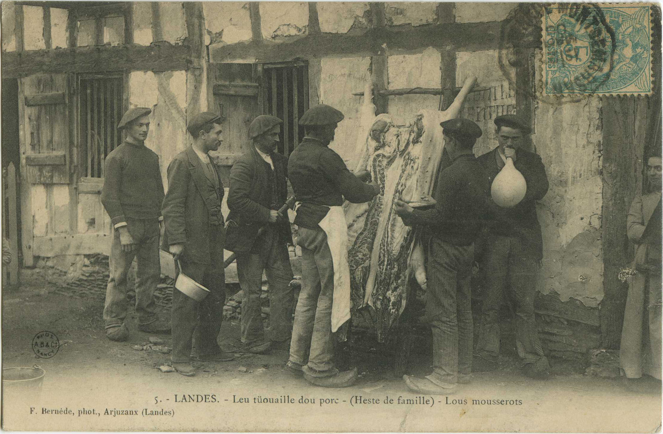 Landes - LANDES - Leu tüouaille dou porc - (Heste de famille) - Lous mousserots