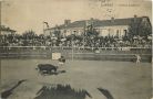 Carte postale ancienne - Landes - Courses Landaises Carte postale ancienne - Landes - Courses Landaises