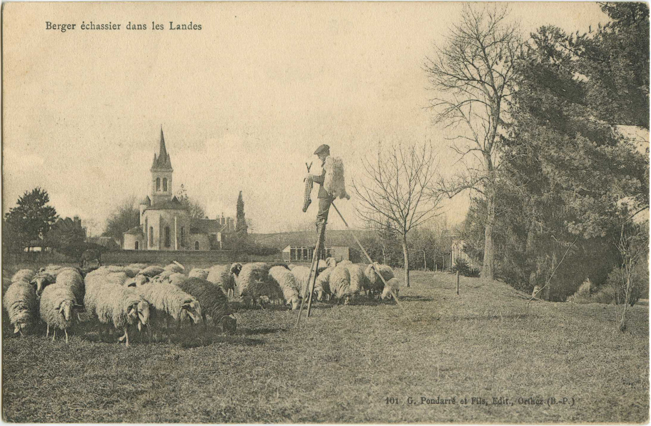 Landes - Berger échassier dans les Landes