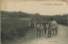 Carte postale ancienne - Landes - AU PAYS LANDAIS - Attelage de Boeufs