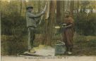 Carte postale ancienne - Landes - DANS LES LANDES - Récolte de la Résine