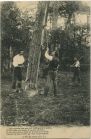 Carte postale ancienne - Landes - LANDES - Résiniers