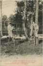 Carte postale ancienne - Landes - LANDES - Un bieuïl èrt aoù hoùns de la làne - « Un vieil air de musique au fond de la Lande »