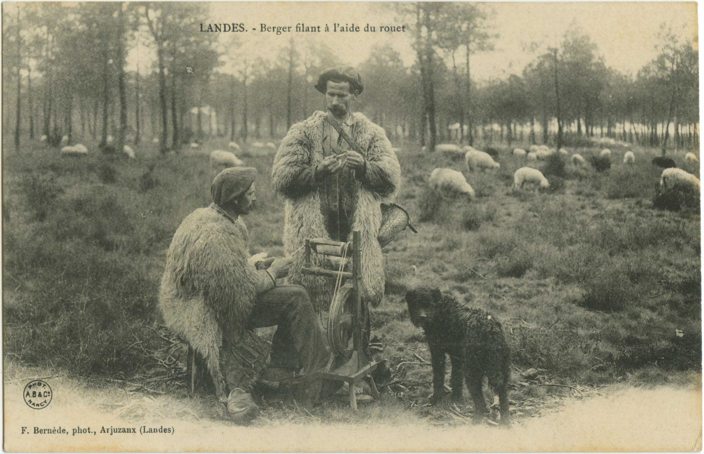 Landes - LANDES - Berger filant à l'aide du rouet