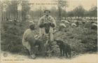 Carte postale ancienne - Landes - LANDES - Berger filant à l'aide du rouet