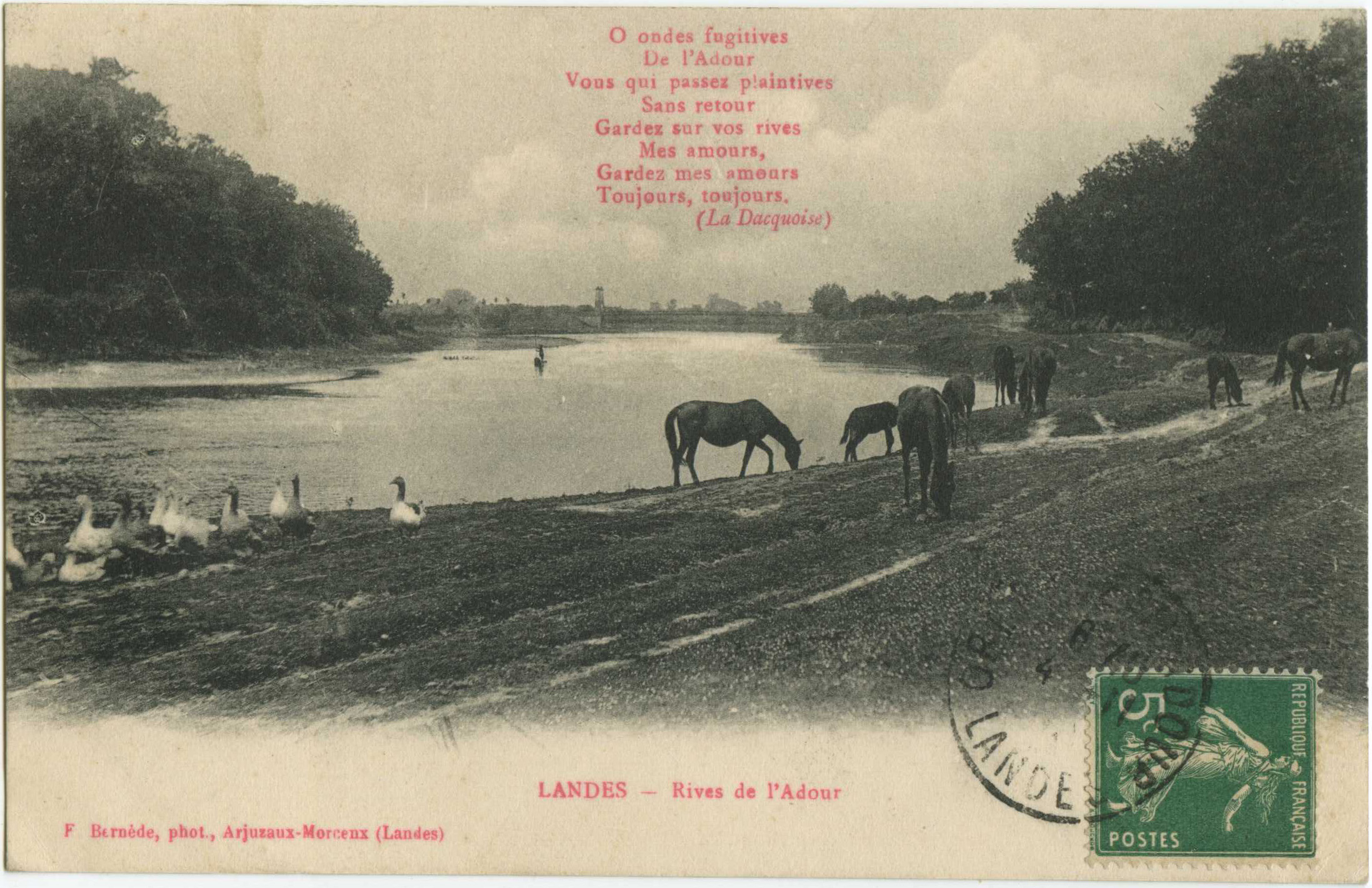 Landes - LANDES - Rives de l'Adour