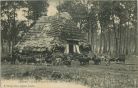 Carte postale ancienne - Landes - LANDES - Le Départ pour le Pâturage