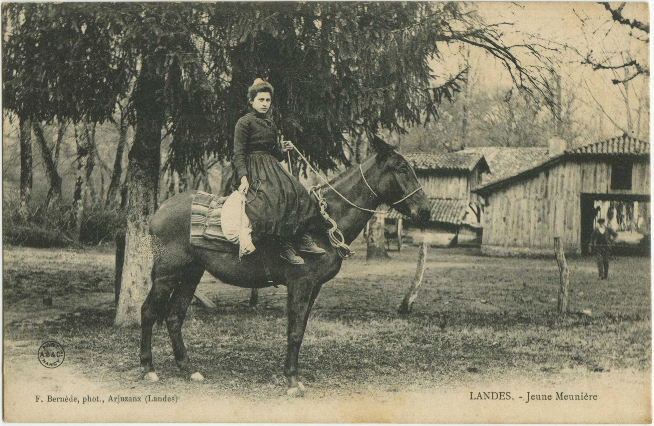 Landes - LANDES - Jeune Meunière