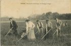 Carte postale ancienne - Landes - LANDES - Travaux dans les Champs - Le Sarclage du Seigle