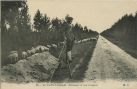 Carte postale ancienne - Landes - AU PAYS LANDAIS - Échassier et son troupeau