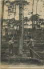 Carte postale ancienne - Landes - Dans les Landes - Résiniers gemmant les Pins