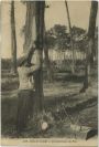 Carte postale ancienne - Landes - Dans les Landes - Cramponnage des Pins
