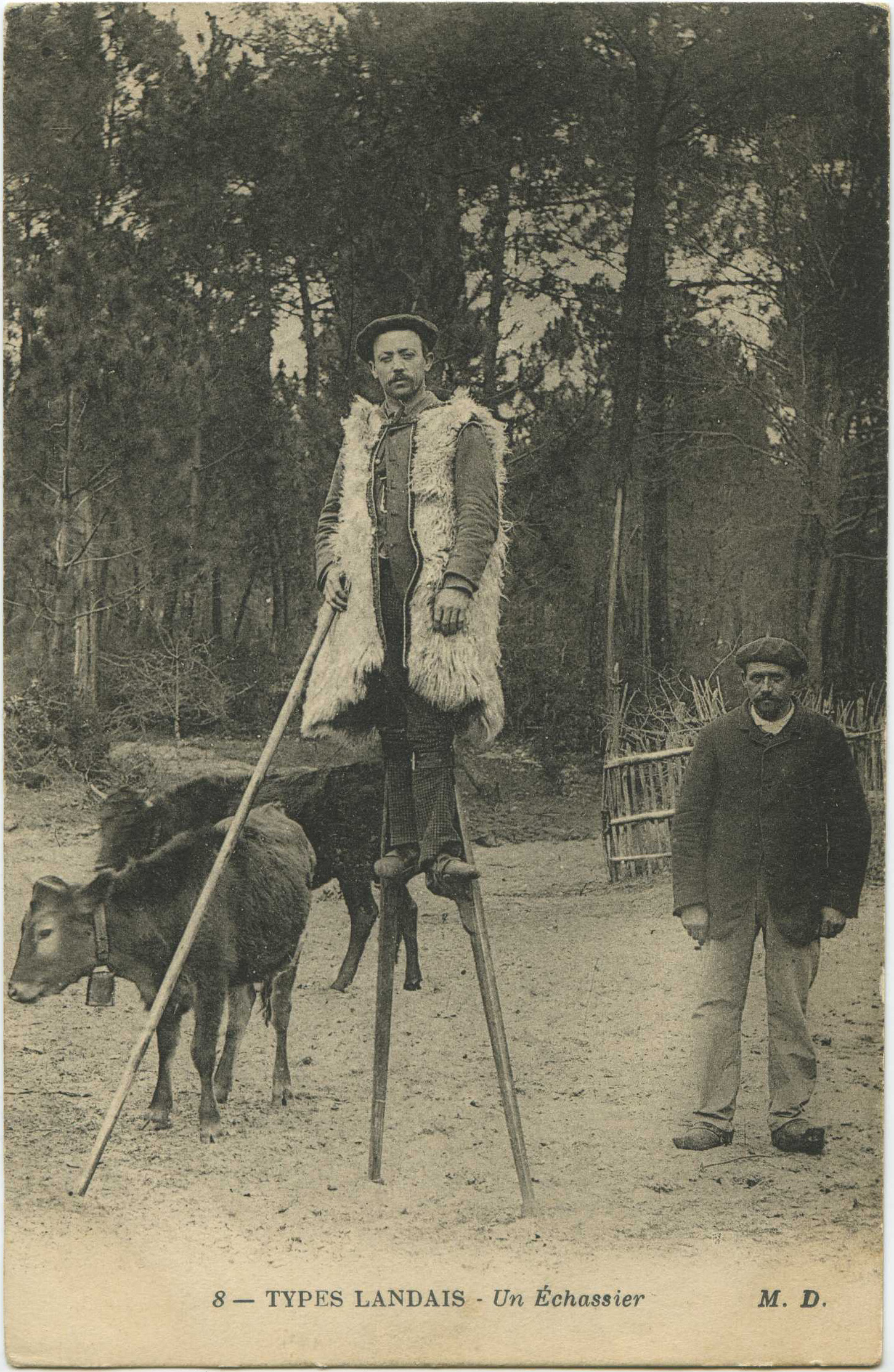 Landes - TYPES LANDAIS - Un Échassier