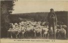 Carte postale ancienne - Landes - DANS LES LANDES - Berger Landais et son troupeau