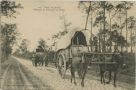 Carte postale ancienne - Landes - Dans les Landes. - Attelages de Mules sur la Route