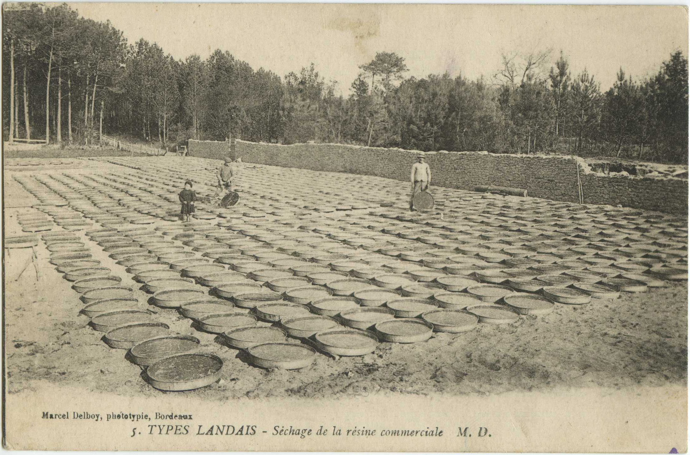 Landes - TYPES LANDAIS - Séchage de la résine commerciale