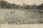 Carte postale ancienne - Landes - TYPES LANDAIS - Séchage de la résine commerciale