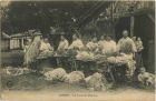 Carte postale ancienne - Landes - LANDES - La Tonte des Moutons