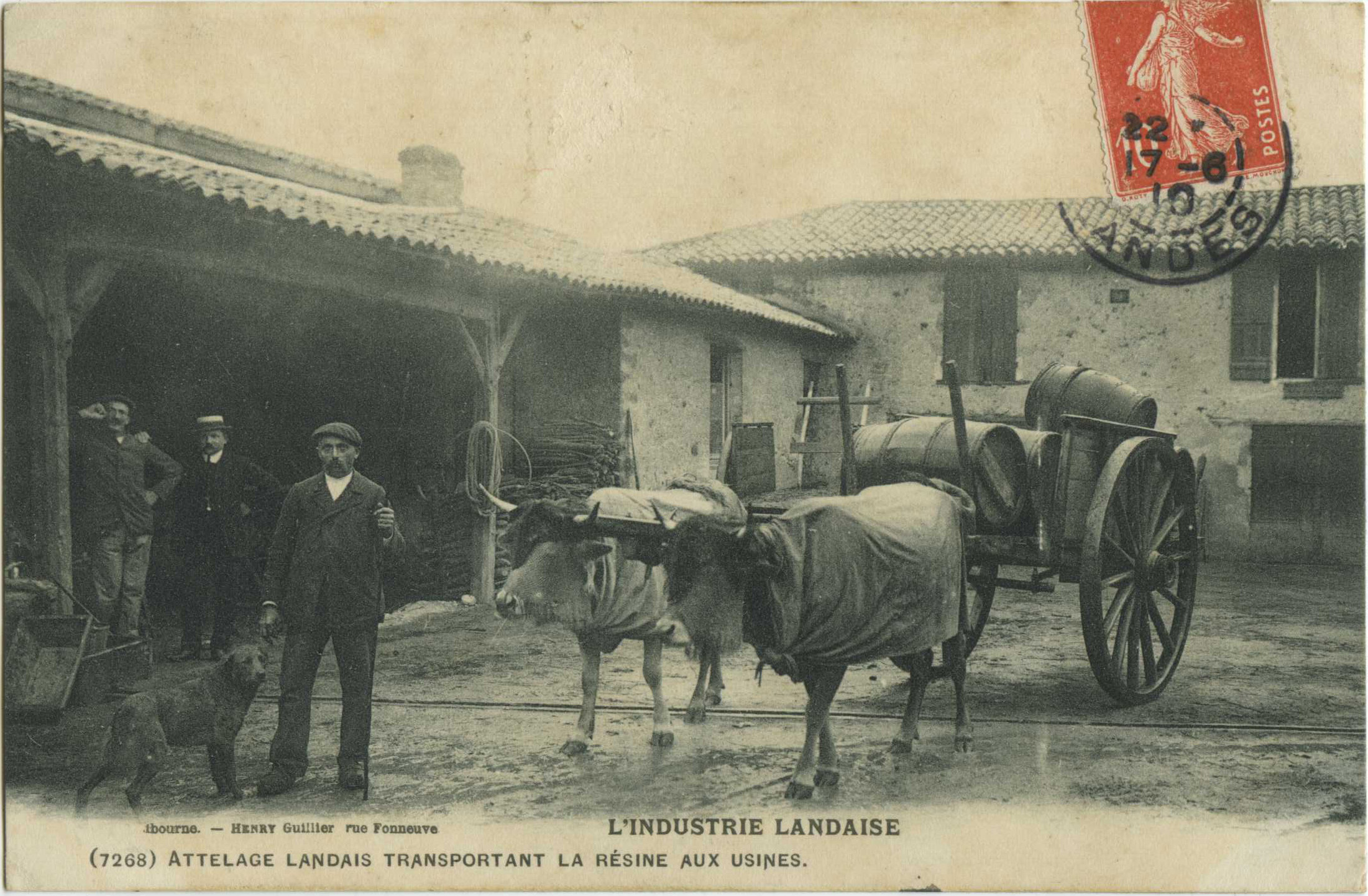 Landes - L'INDUSTRIE LANDAISE - Attelage landais transportant la résine aux usines.